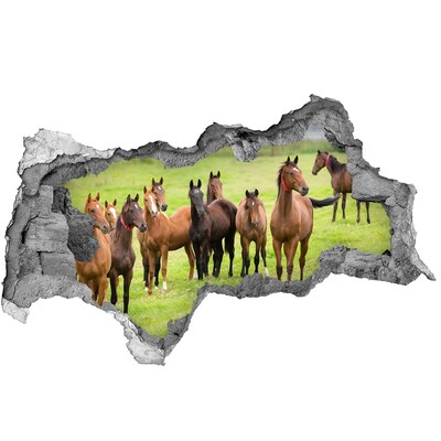 Hole wall sticker A herd of horses in the pasture