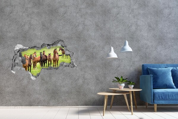 Hole wall sticker A herd of horses in the pasture