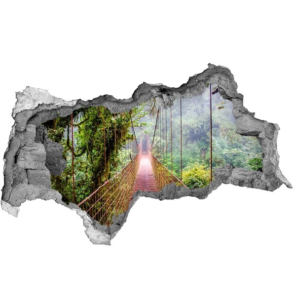 Hole wall sticker Bridge in the jungle