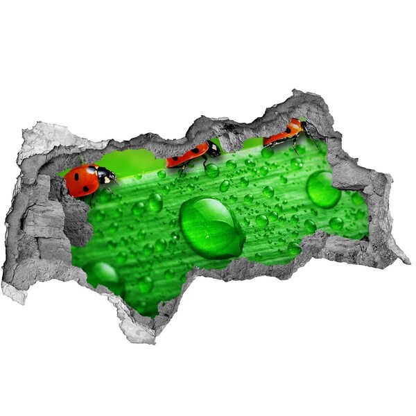 Hole in the wall sticker A drop of dew on a leaf