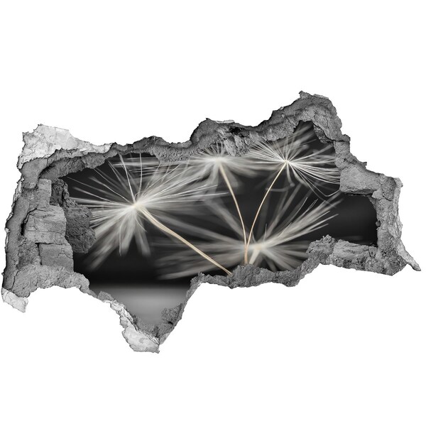 Hole in the wall sticker Dandelion flowers in concrete