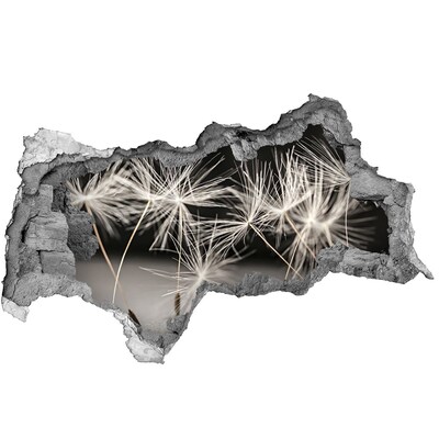 Hole wall sticker Dandelion Dream