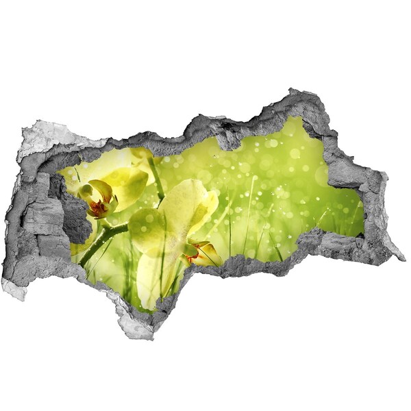 Hole wall sticker A floral oasis in the greenery