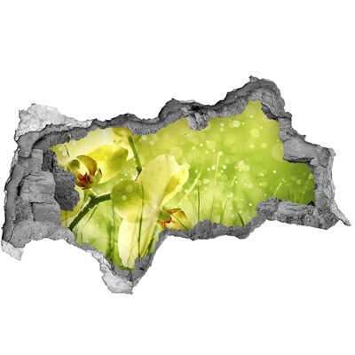 Hole wall sticker A floral oasis in the greenery