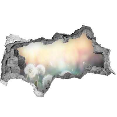 Hole in the wall decal The floral world behind the hole