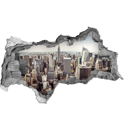 Hole in the wall sticker View of New York