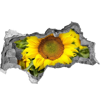 Hole in the wall sticker Sunflower in concrete