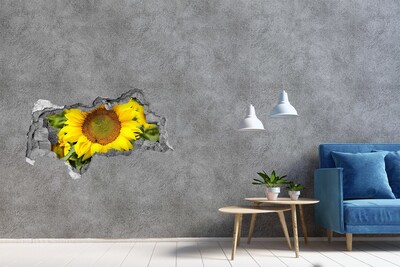 Hole in the wall sticker Sunflower in concrete