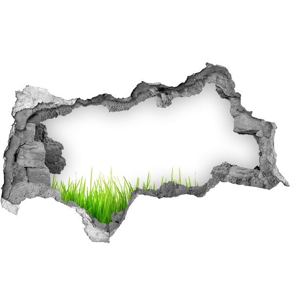 Hole in the wall sticker A green meadow behind the wall