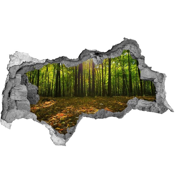 Hole wall sticker A forest oasis in the sunshine