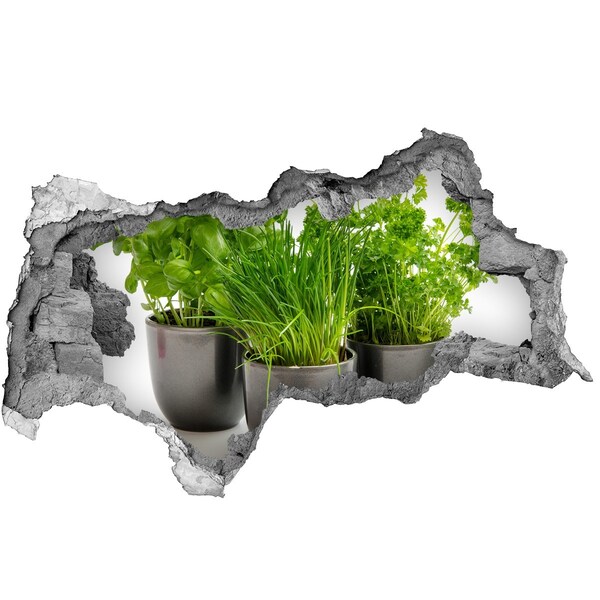 Hole wall sticker Green garden in pots