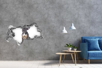 Hole wall sticker Cute animals behind the wall