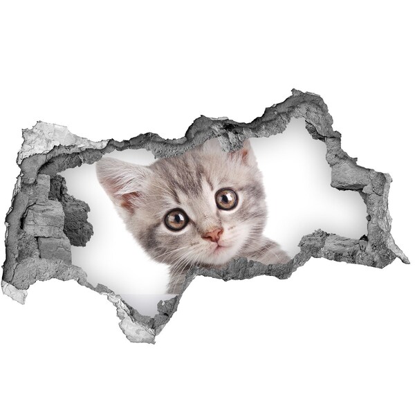 Hole wall sticker Kitten in a hole in the wall
