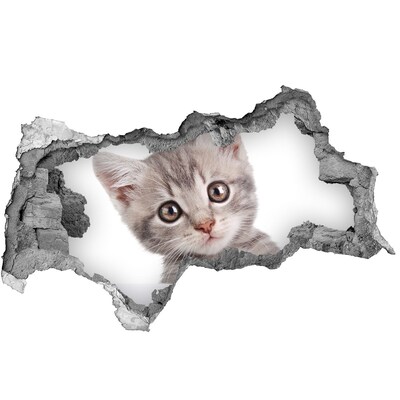Hole wall sticker Kitten in a hole in the wall