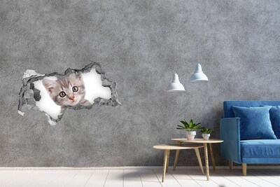 Hole wall sticker Kitten in a hole in the wall