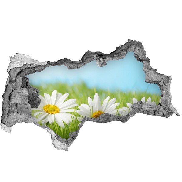 Hole in the wall sticker Flowers in a green meadow