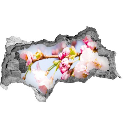 Hole in the wall sticker Cherry blossoms in spring