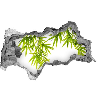 Hole wall sticker Green bamboo through a hole in the wall