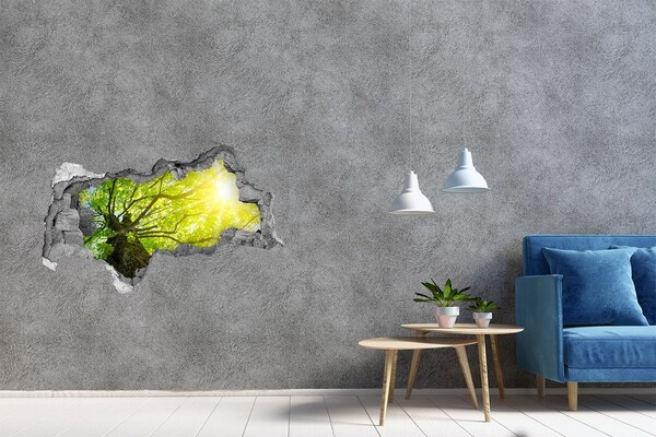Hole in the wall decal Green forest in the sun's rays