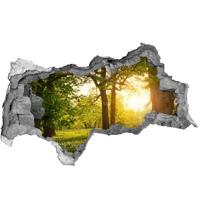 Hole wall sticker A green paradise among the trees