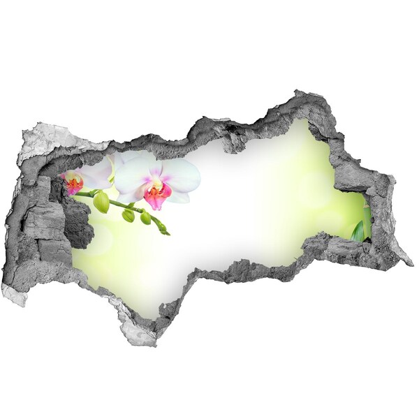 Hole in the wall sticker Orchid flowers in the bamboo garden