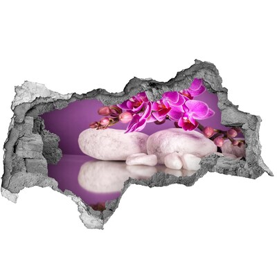 Hole in the wall decal Orchid on a background of stones