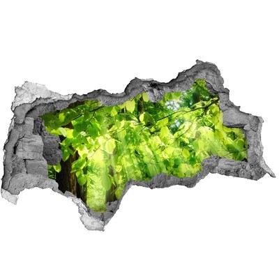 Hole in the wall sticker Green forest in the sun's rays