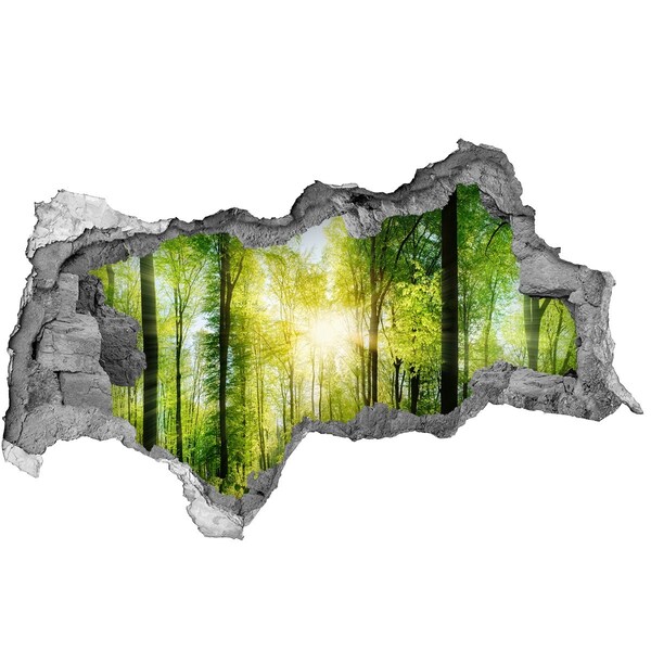 Hole in the wall sticker Green forest with sun rays
