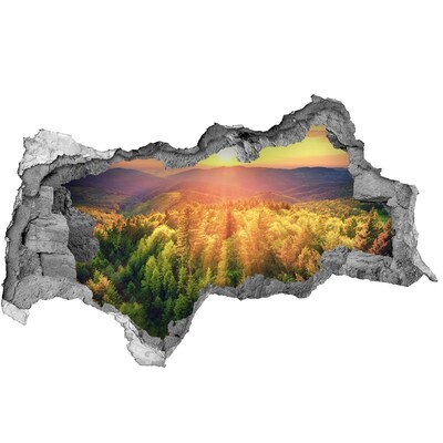 Hole in the wall decal Golden rays of sunshine in the forest
