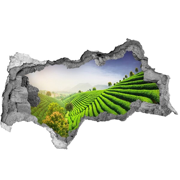 Hole in the wall decal Green tea terraces