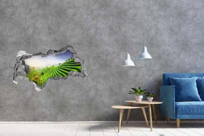 Hole in the wall decal Green tea terraces