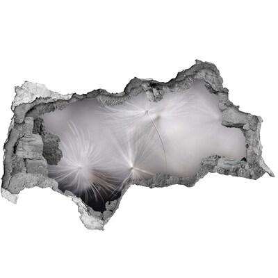 Hole wall sticker Dandelions in concrete