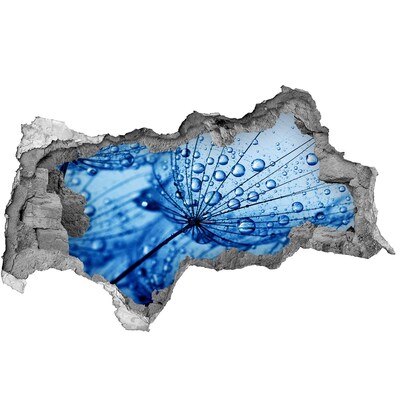 Hole in the wall decal Drops of water on a delicate flower