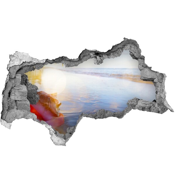 Hole in the wall decal Tropical beach with shells