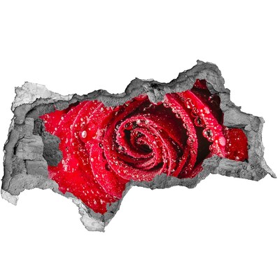 Hole in the wall sticker Rose with water drops