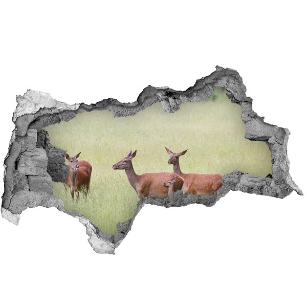 Hole wall sticker A roe deer and her young in the wild