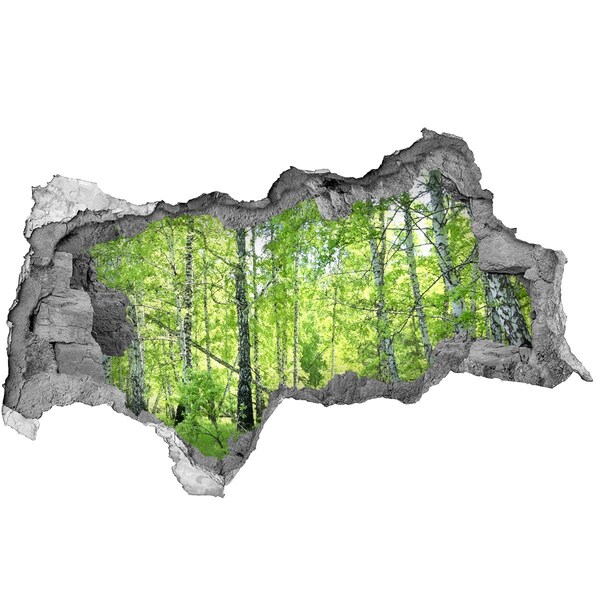 Hole wall sticker Green forest in the sunlight