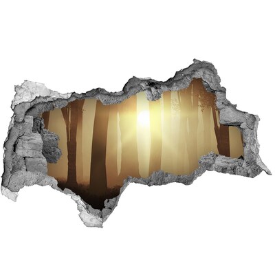 Hole in the wall decal Golden morning in the forest