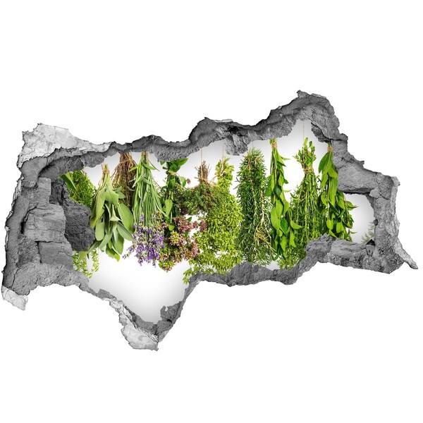 Hole wall sticker Green oasis with herbs