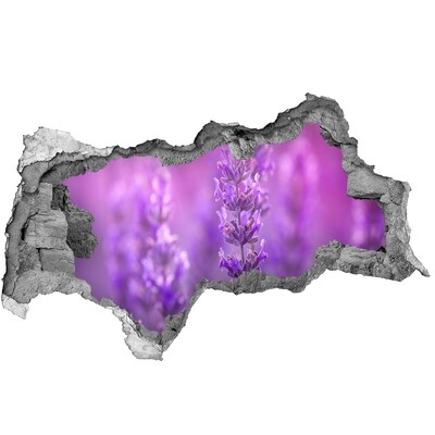 Hole in the wall sticker Lavender flowers in the morning light