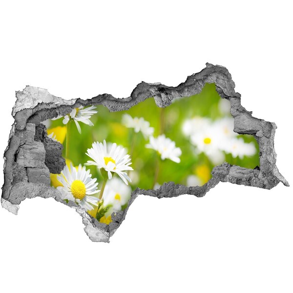 Hole wall sticker A flower paradise behind the walls