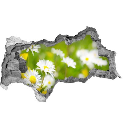 Hole wall sticker A flower paradise behind the walls