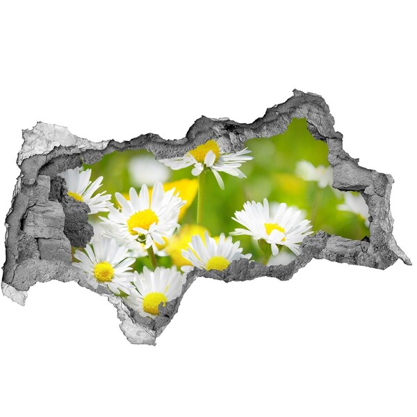 Hole wall sticker Flowers in the meadow