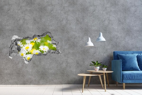 Hole wall sticker Flowers in the meadow