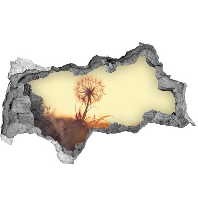 Hole in the wall decal A flower in the sun's rays