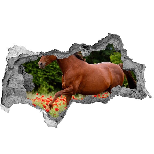 Hole wall sticker A horse in a field of poppies