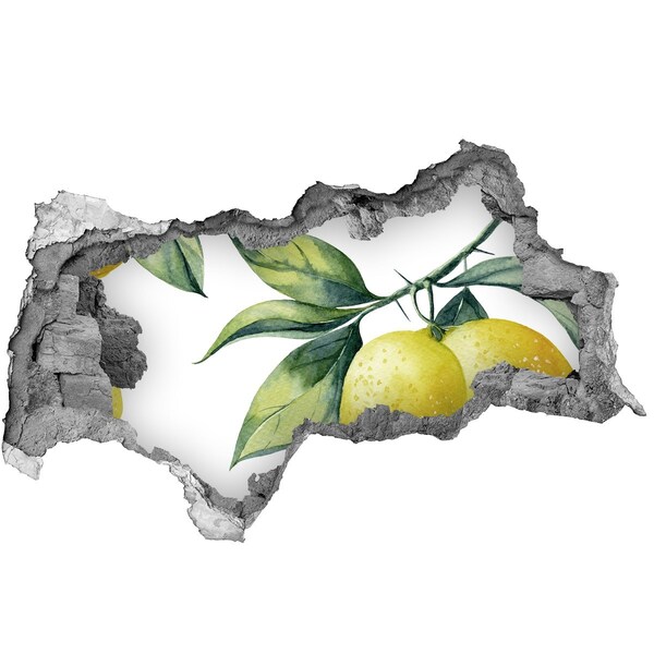 Hole in the wall decal Lemon garden