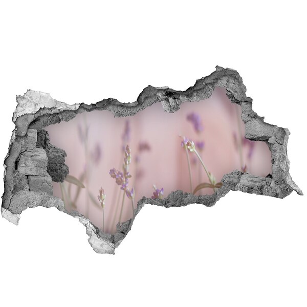 Hole wall sticker Flower meadow behind the wall