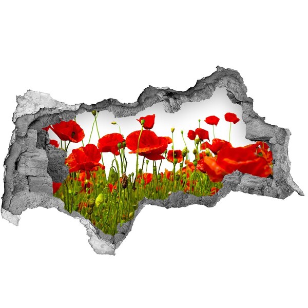Hole wall sticker A floral paradise among the poppies