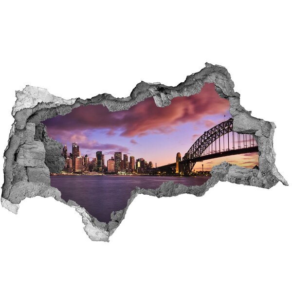 Hole wall sticker View of Sydney